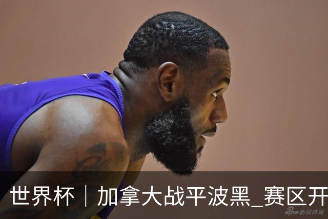 世界杯｜加拿大战平波黑 赛区开幕式表演“翻车”
